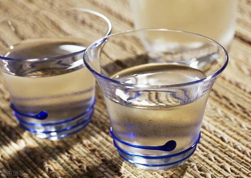 真假酒的解毒迷思 科學(xué)解析與醫(yī)生的忠告