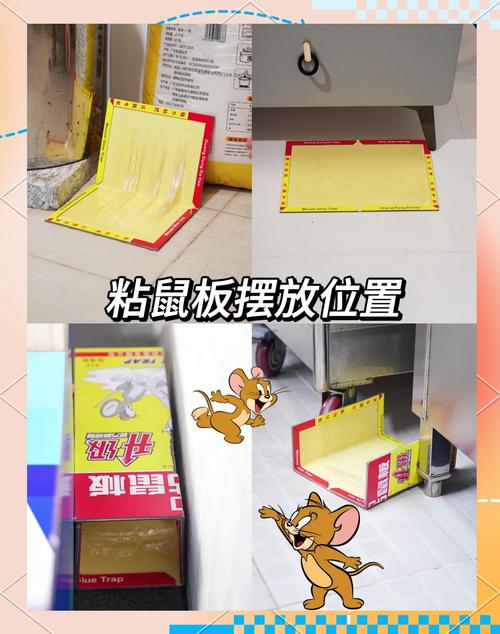 粘鼠板使用全攻略 選對位置與方法，輕松高效滅鼠